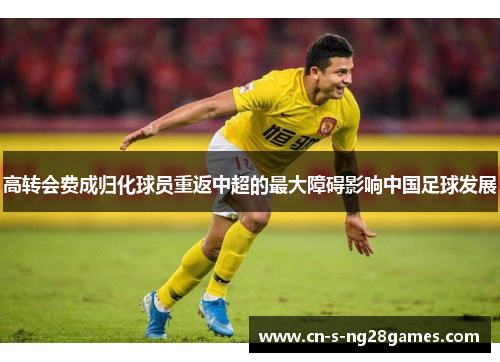 高转会费成归化球员重返中超的最大障碍影响中国足球发展 高转会费成归化球员重返中超的最大障碍影响中国足球发展