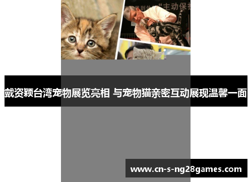 戴资颖台湾宠物展览亮相 与宠物猫亲密互动展现温馨一面