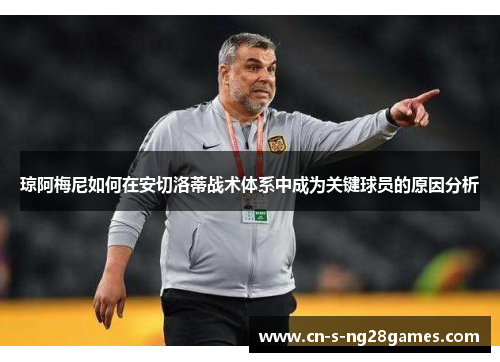 琼阿梅尼如何在安切洛蒂战术体系中成为关键球员的原因分析